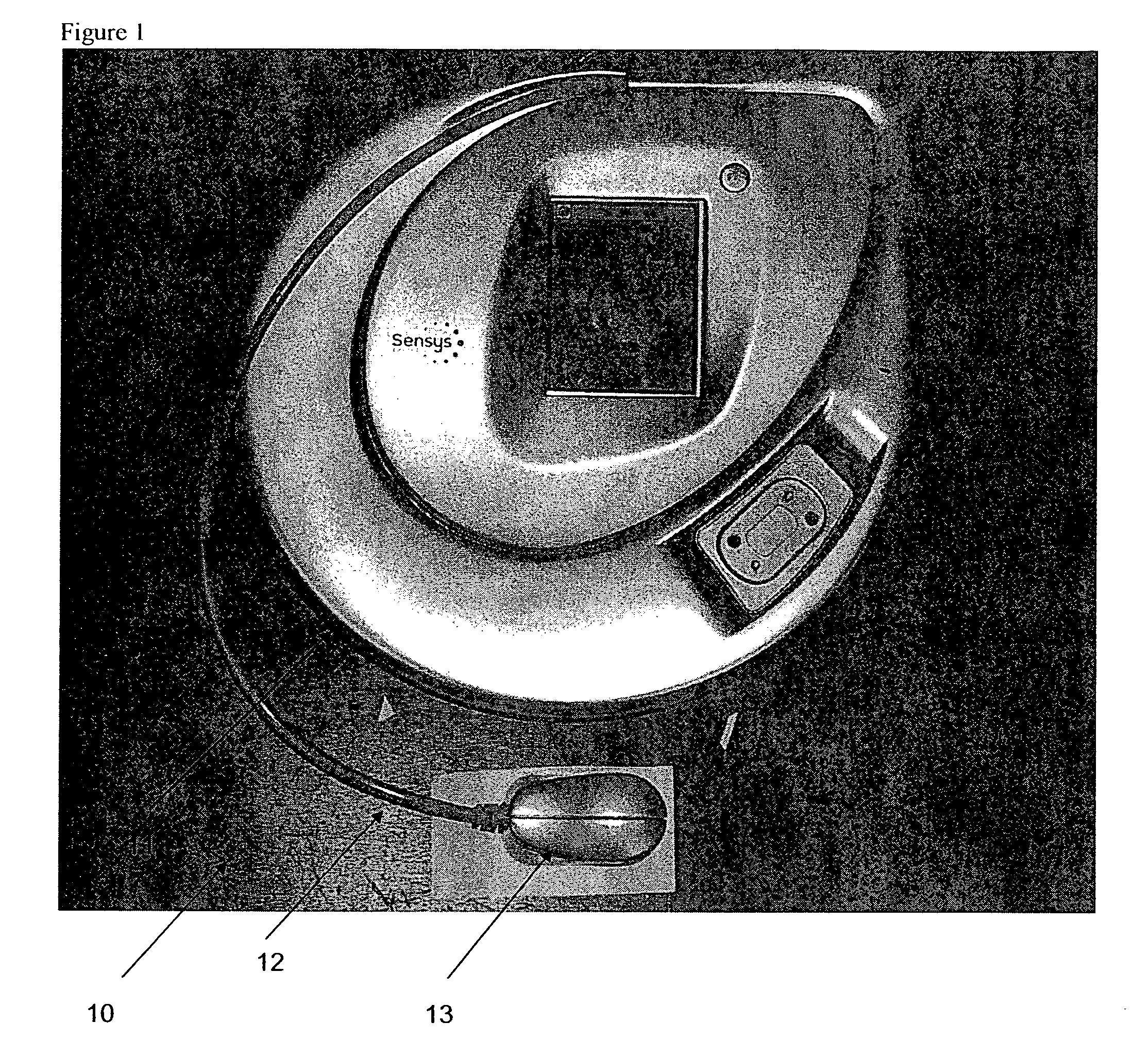 Optical sampling interface system for in-vivo measurement of tissue