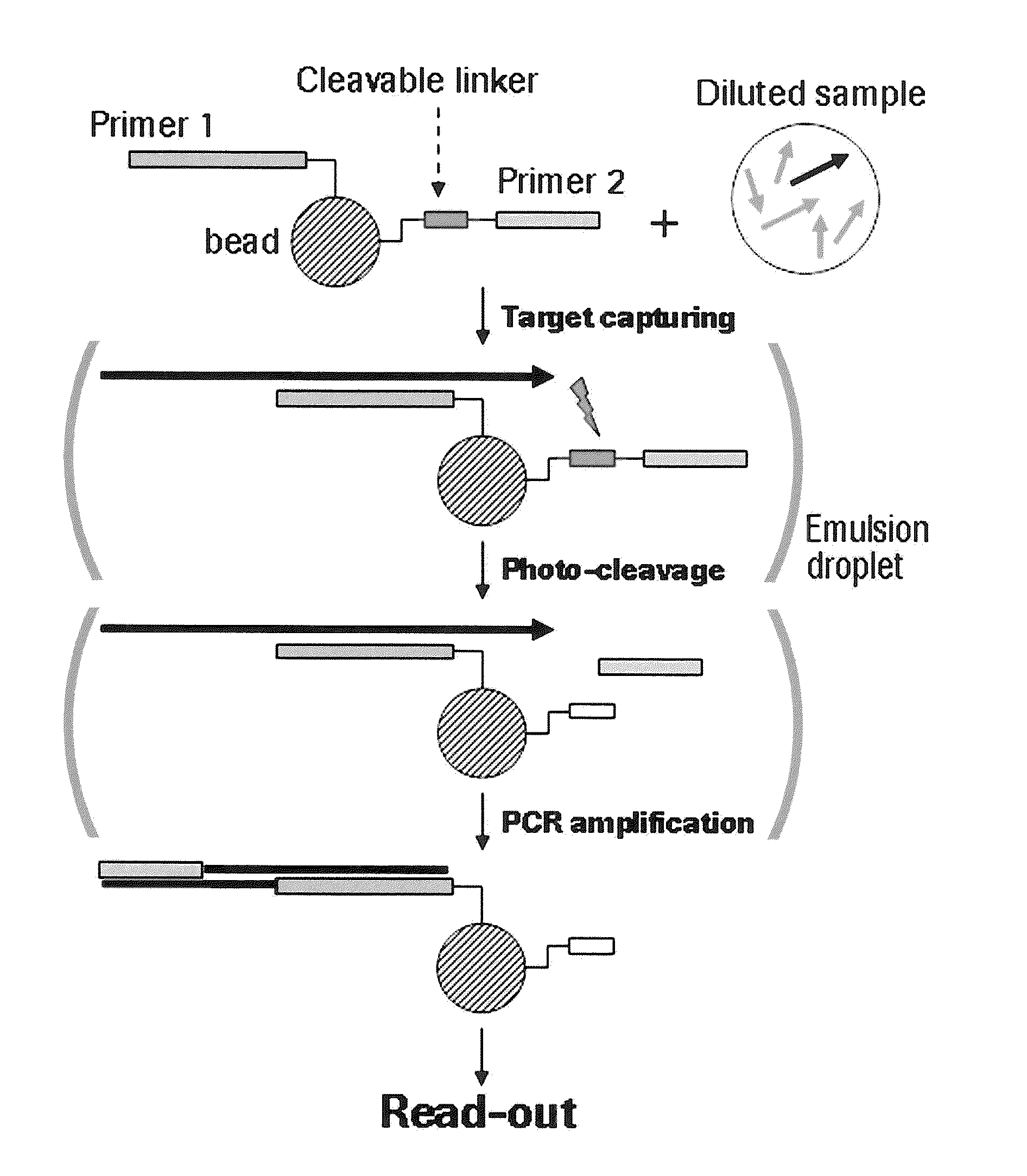 Miniaturized, high-throughput nucleic acid analysis