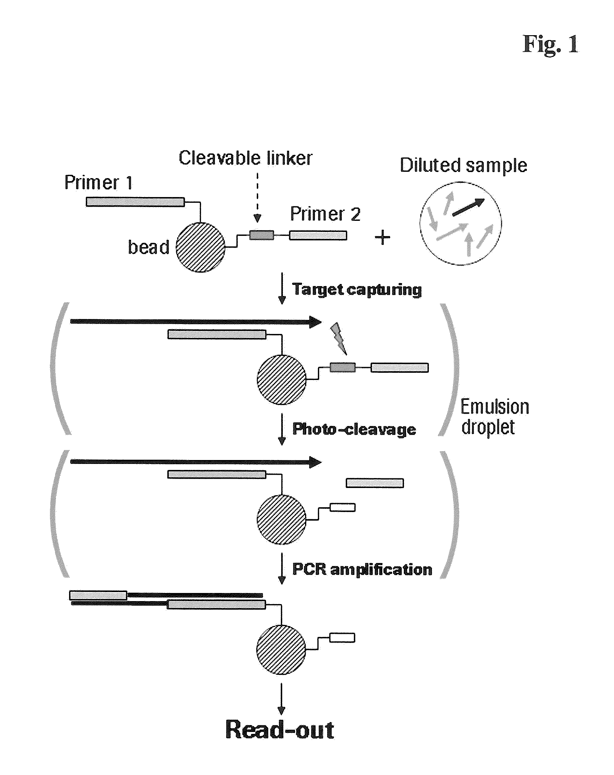 Miniaturized, high-throughput nucleic acid analysis