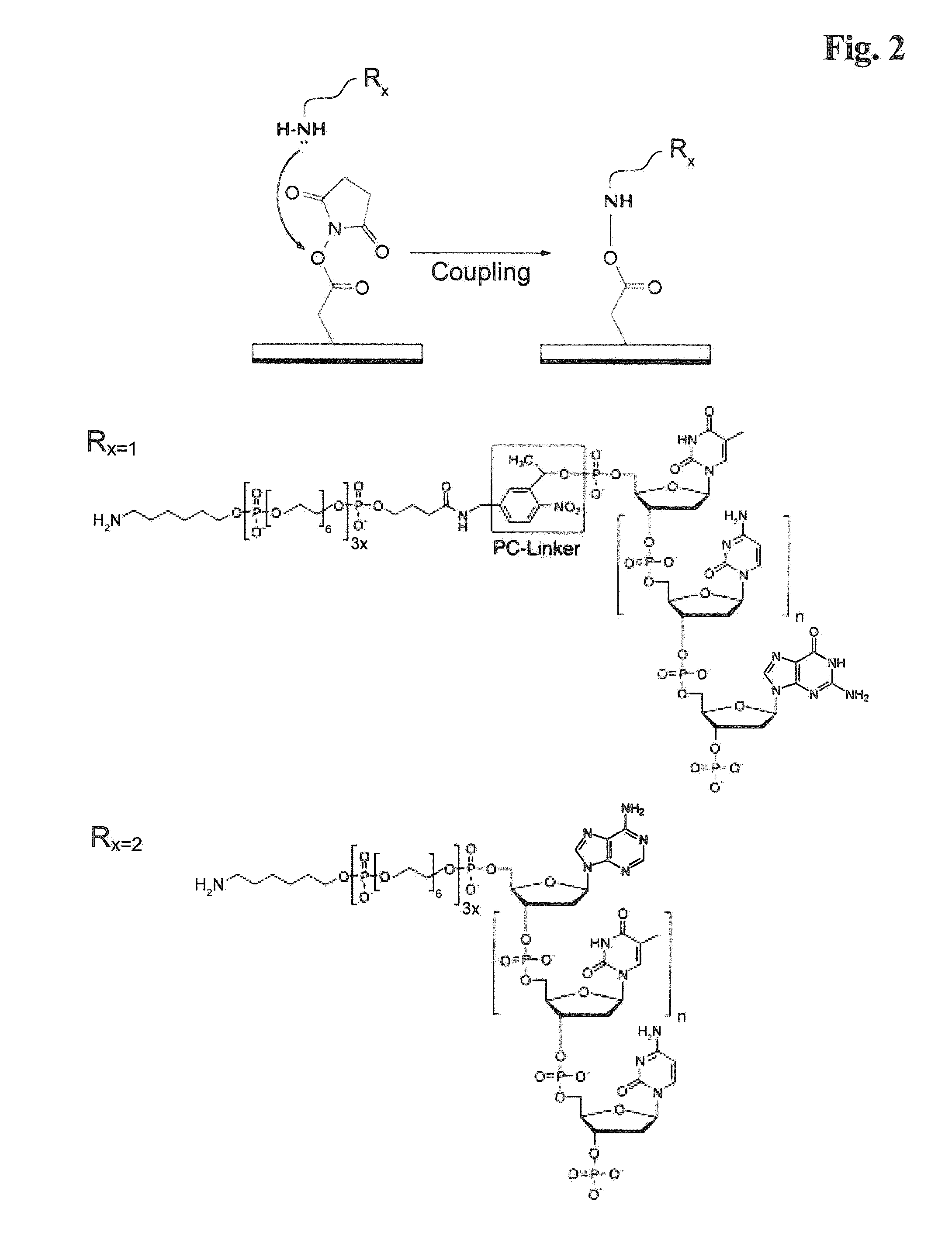 Miniaturized, high-throughput nucleic acid analysis