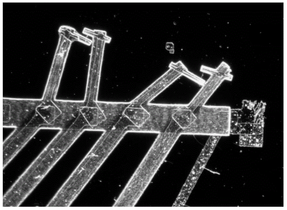 In-situ representation performance testing method based on single nano-wire electrode material