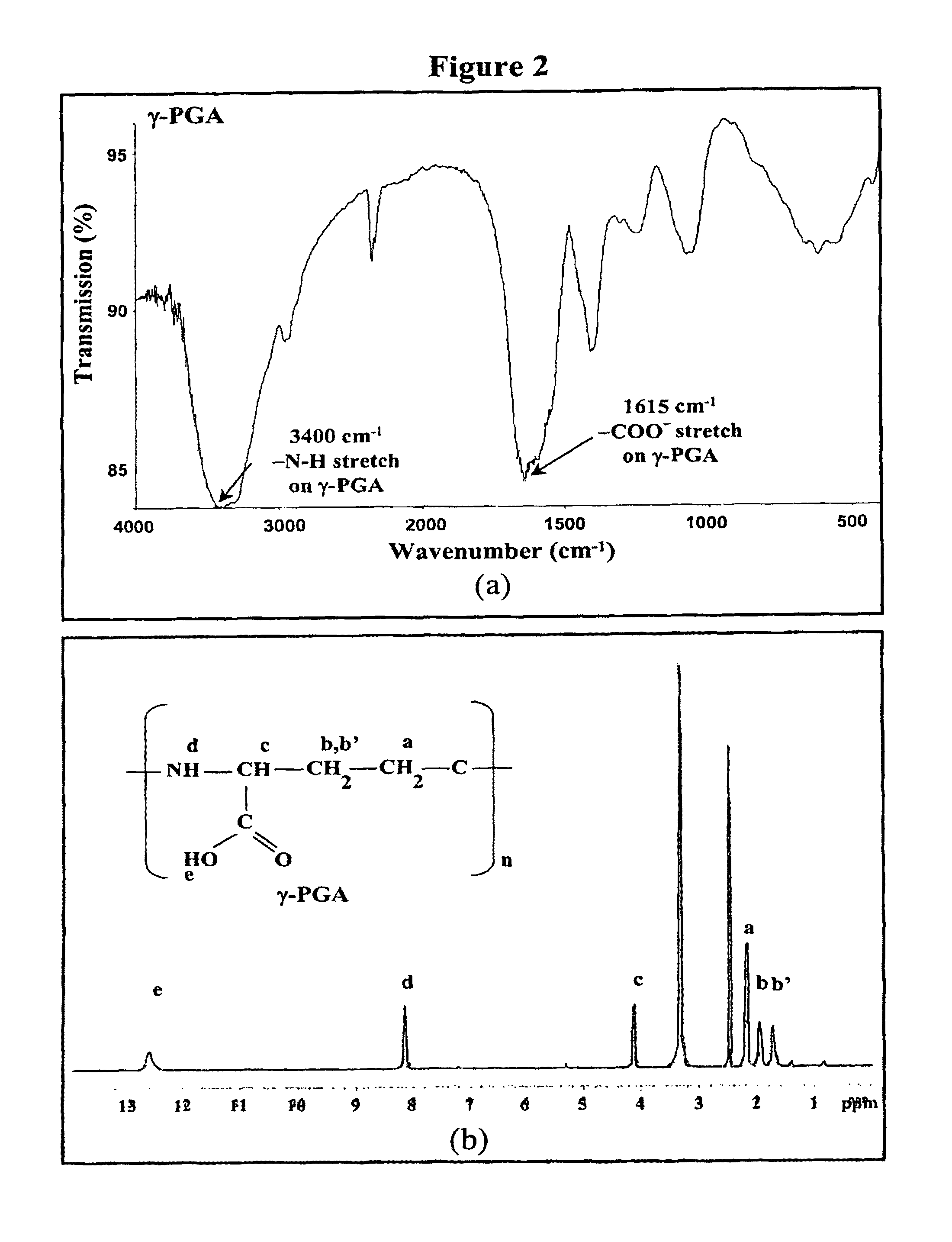 Pharmaceutical composition of nanoparticles