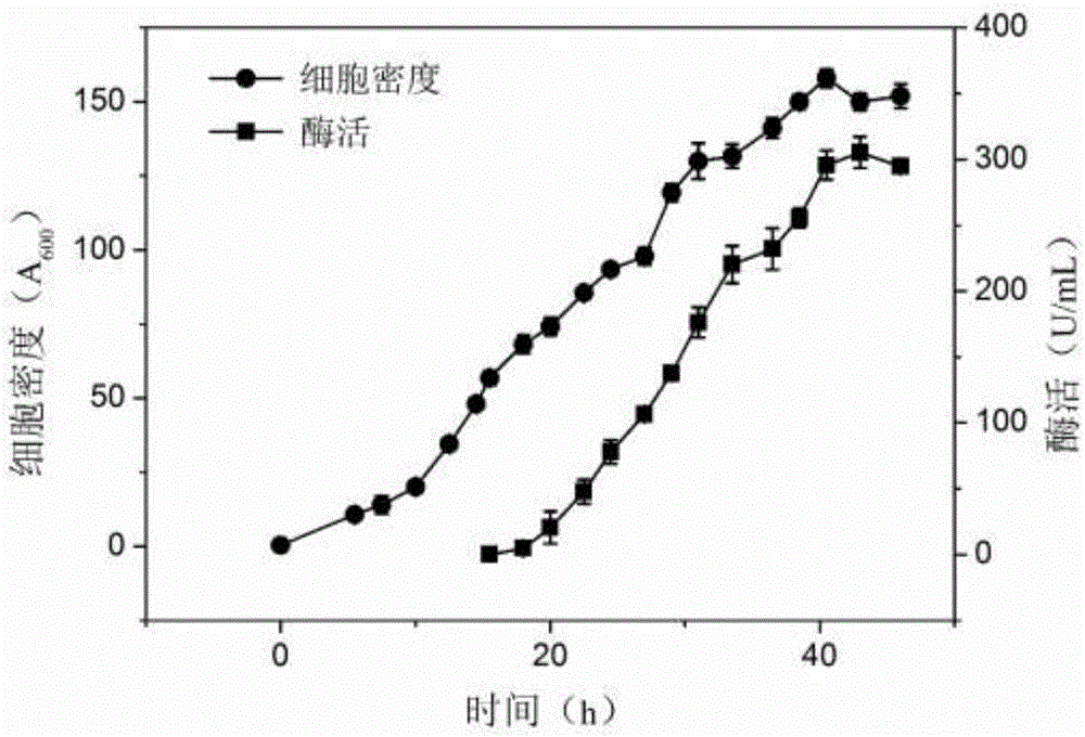 Engineered Escherichia coli and method of synthesis of catalyzing fumaric acid from maleic acid in presence of Engineered Escherichia coli