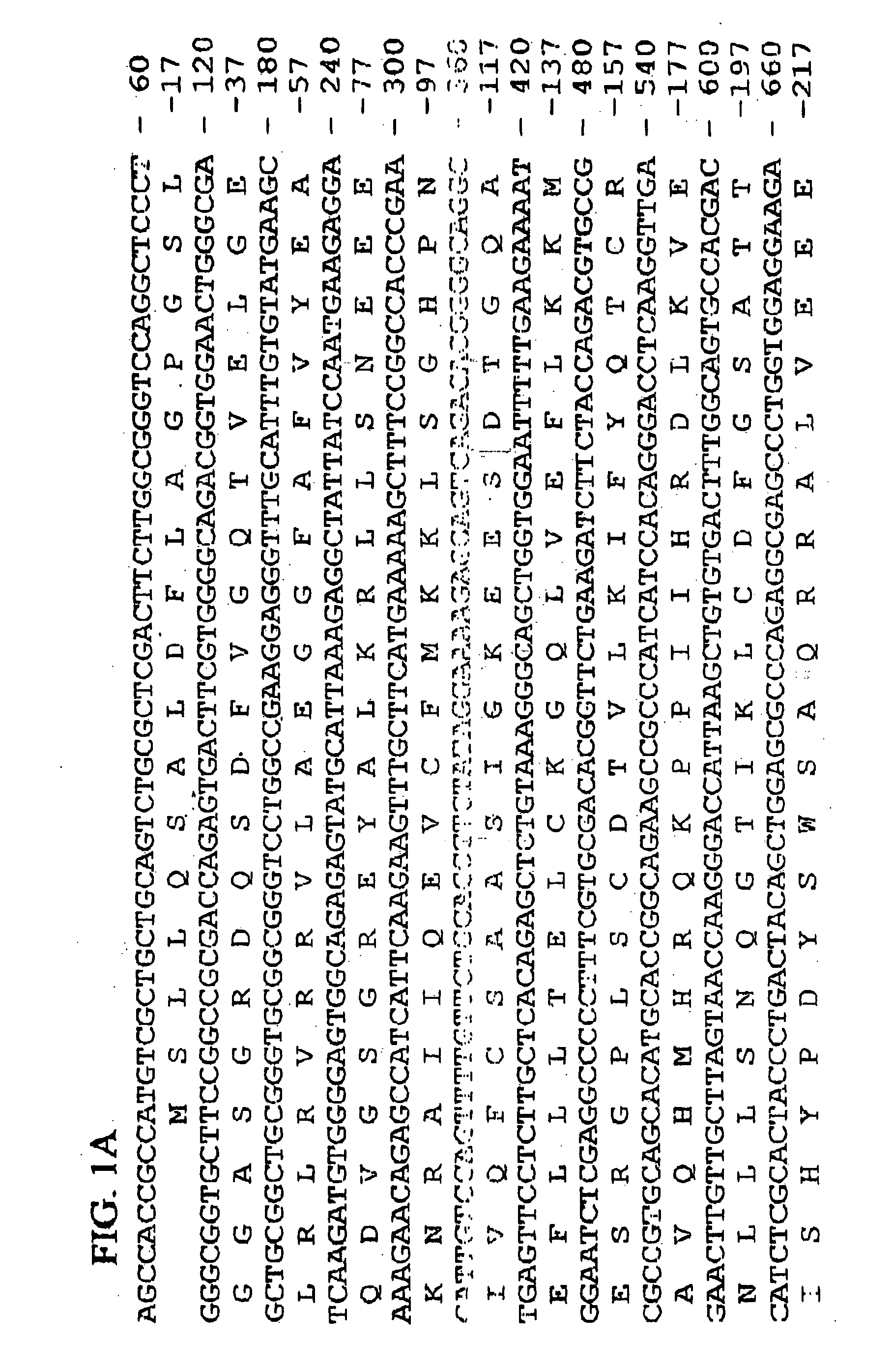 Human GAK-related gene variants associated with lung cancer