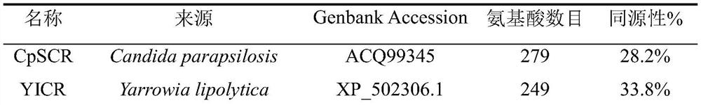 Short-chain dehydrogenase BLSDR1 as well as coding gene and application thereof