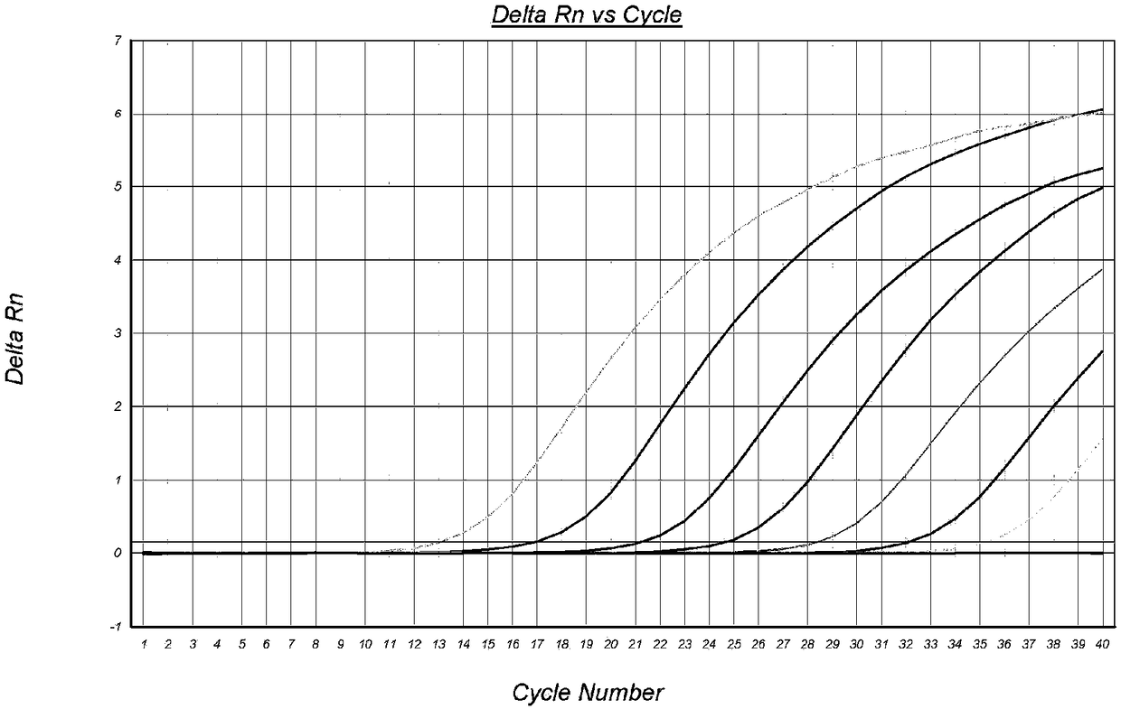 Reagent for detecting viruses in tilapia mossambica lake, detection method and application