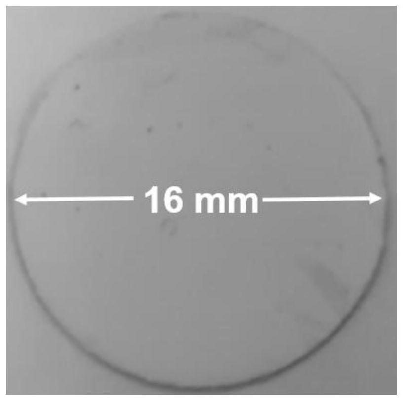 Lithium-sulfur battery composite integrated diaphragm, preparation method and lithium-sulfur battery