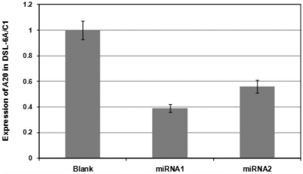 Polygene transfection tumor cell strain and fusion vaccine thereof, as well as preparation methods