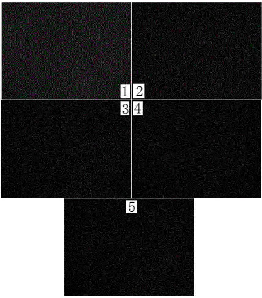 Polygene transfection tumor cell strain and fusion vaccine thereof, as well as preparation methods