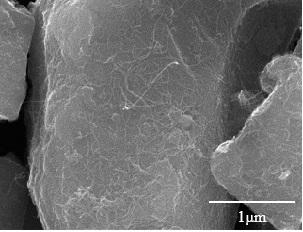 Silicon negative electrode material with fluff structure and preparation method of silicon negative electrode material