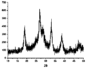 Silicon negative electrode material with fluff structure and preparation method of silicon negative electrode material