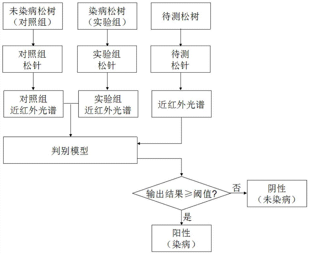 Loose material nematodosis early diagnosis method