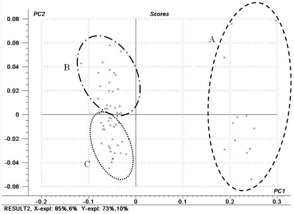 Loose material nematodosis early diagnosis method