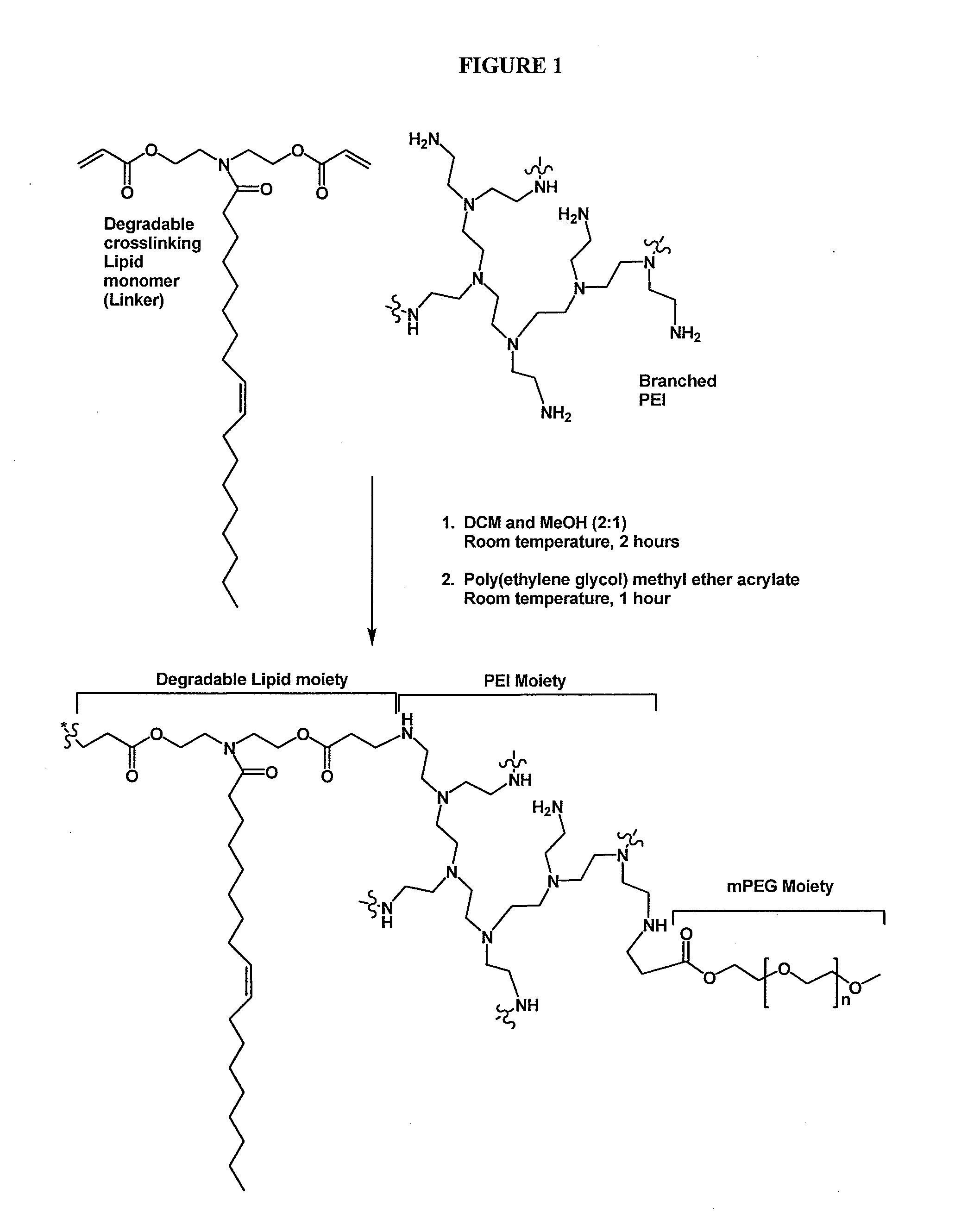 Water soluble crosslinked polymers