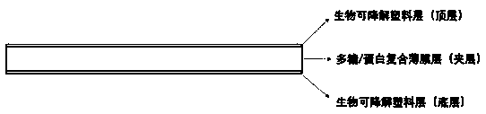 Polysaccharide/protein composite film with high barrier property and preparation method thereof