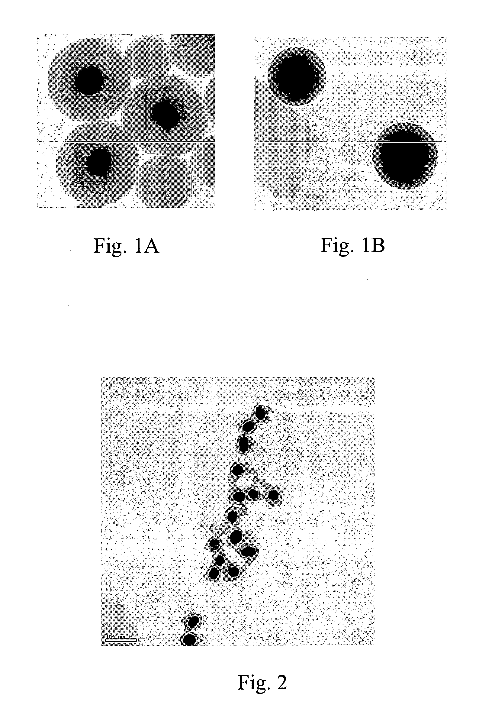 Surface enhanced spectroscopy-active composite nanoparticles