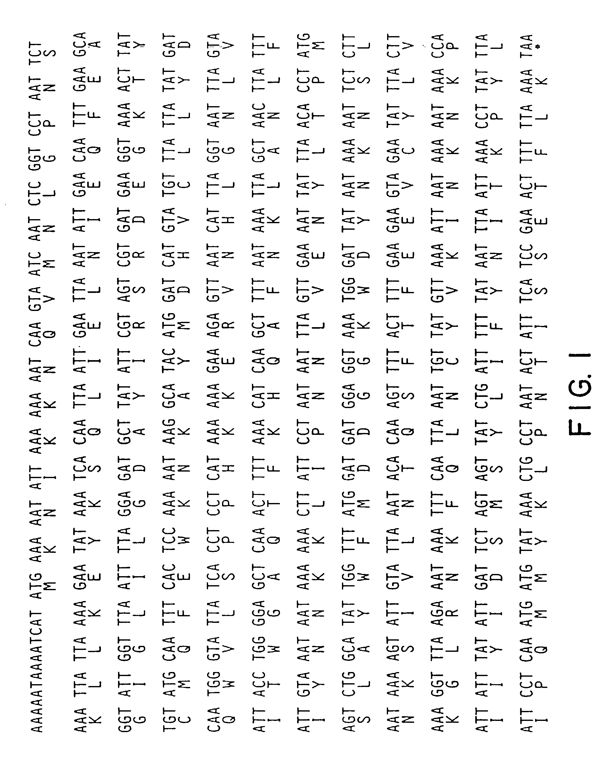 Nucleotide sequence encoding the enzyme I-Scel and the uses thereof