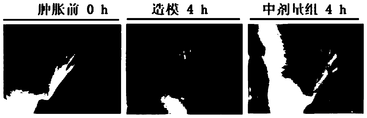 Traditional Chinese medicine composition for clearing throat, benefiting lung and resisting inflammation and preparation method thereof