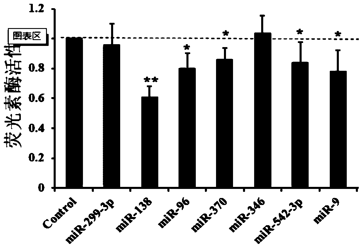 miRNA138 and application of miRNA138 in regulation of TERT gene expression