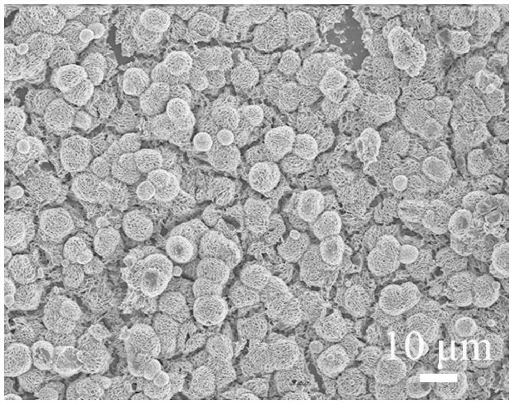 Safe, environment-friendly and high-performance electrochromic film and preparation method thereof