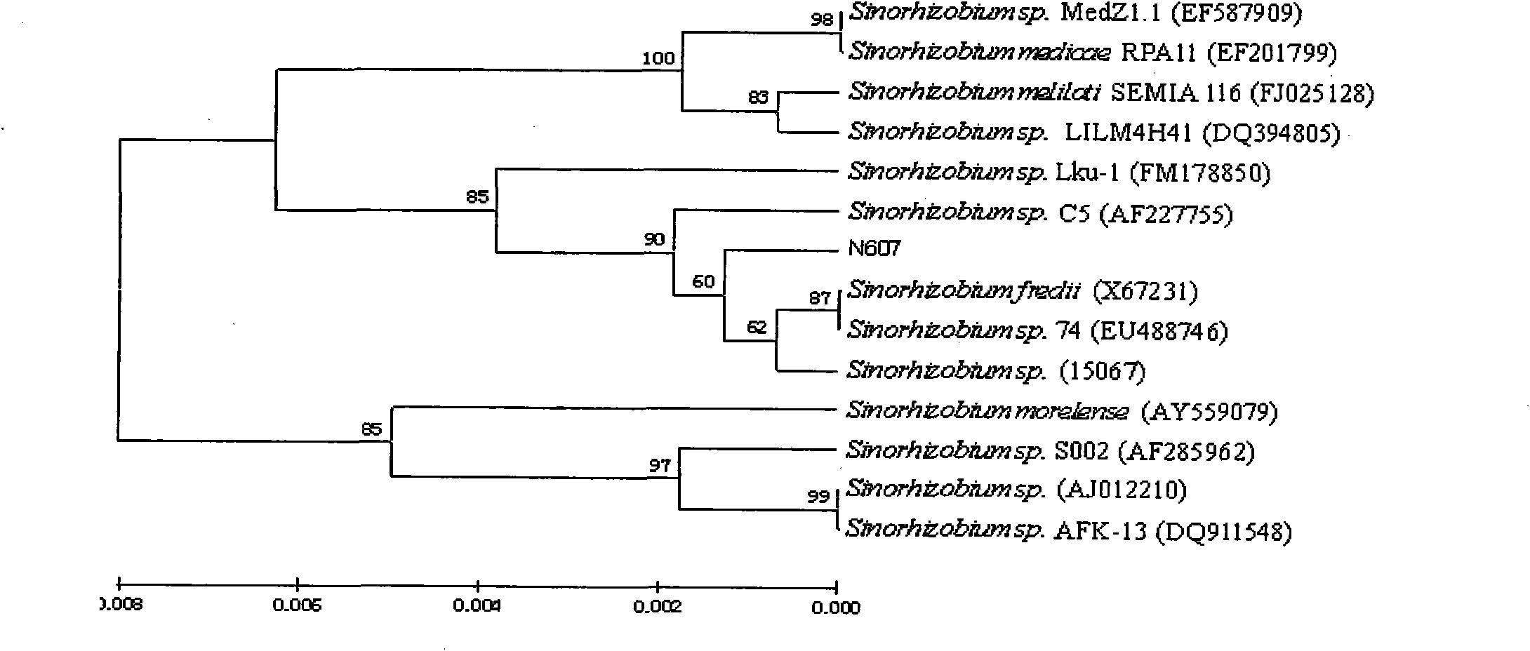 Constructing method of nifA gene-introduced rhizobium japonicum genetic engineering bacterial strain HD-SFH-01