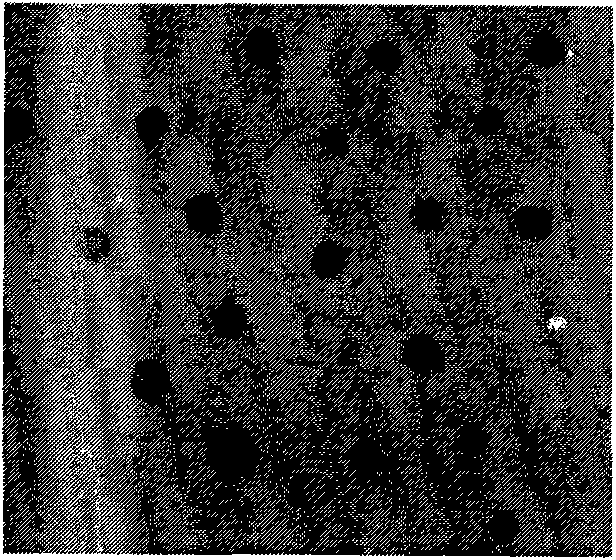 Constructing method of nifA gene-introduced rhizobium japonicum genetic engineering bacterial strain HD-SFH-01