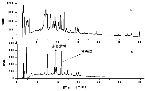 Pretreatment method for alkaloid in Anisodus tanguticus