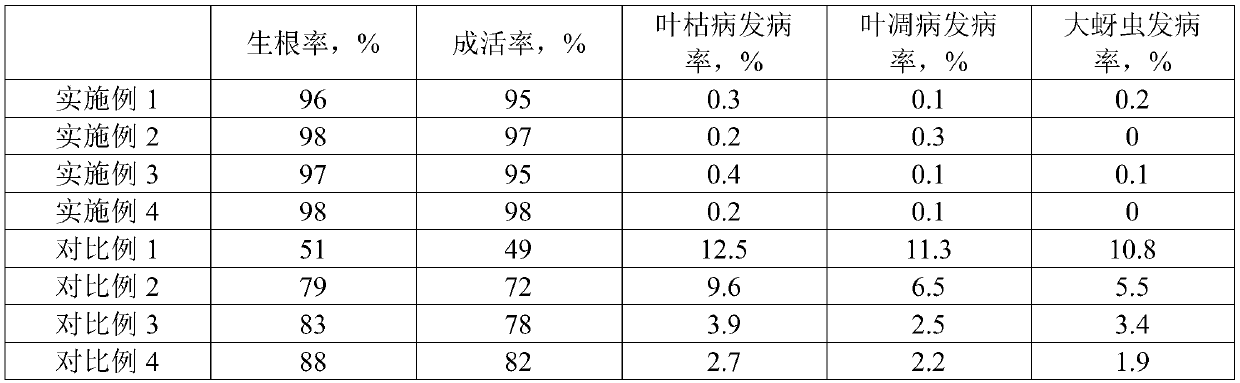 Method for increasing survival rate of plantation in barren mountainous lands