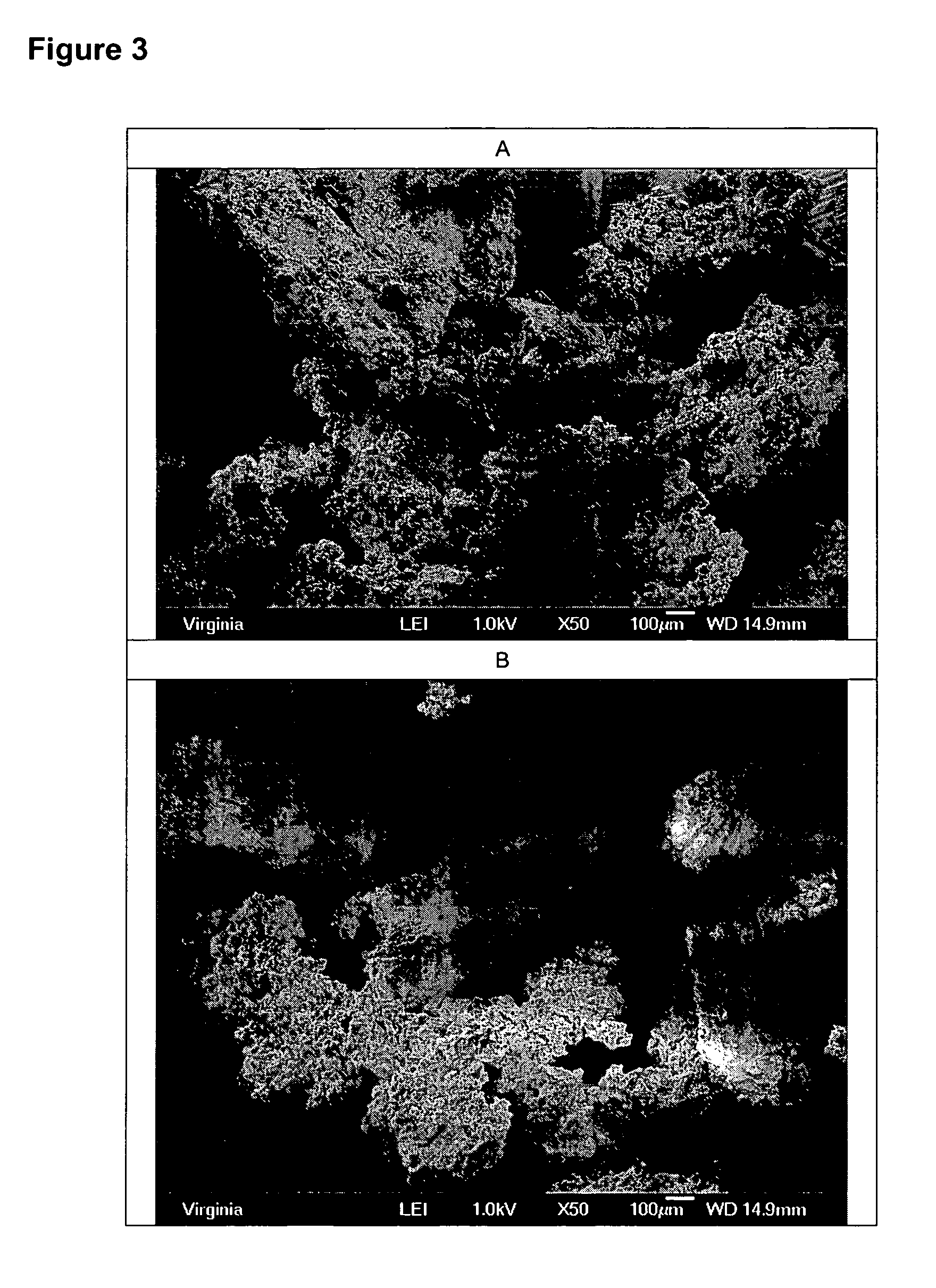 Compositions for repairing bone and methods for preparing and using such compositions