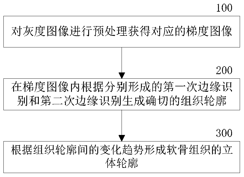 Method and system for identifying cartilage in medical image