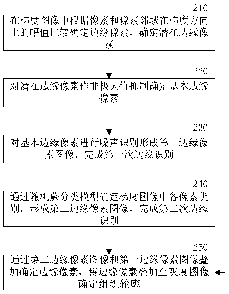 Method and system for identifying cartilage in medical image