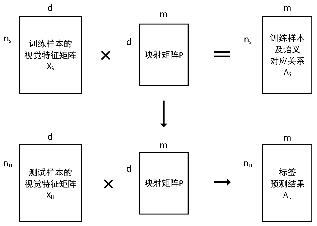 Bird endangered species identification method based on structure-preserving zero-sample learning