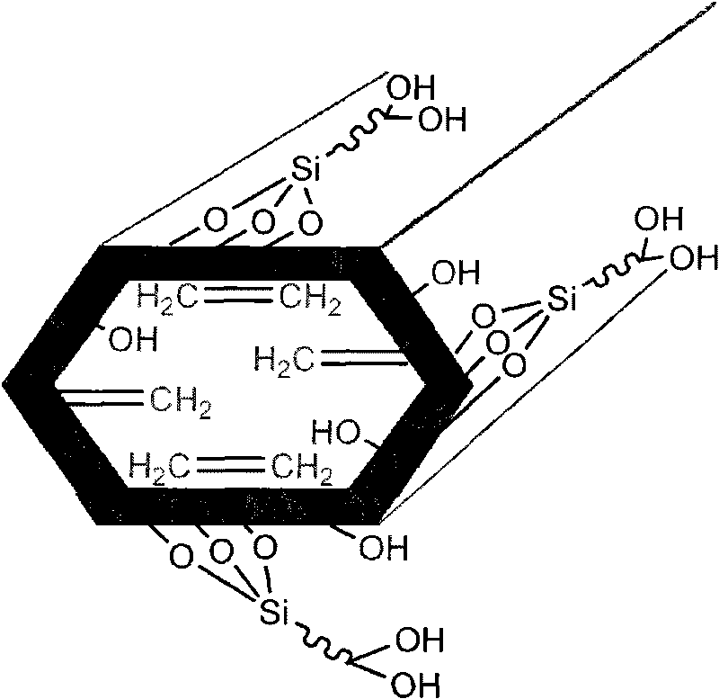 Method for preparing mesoporous material with hydrophobic inner surface and hydrophilic outer surface