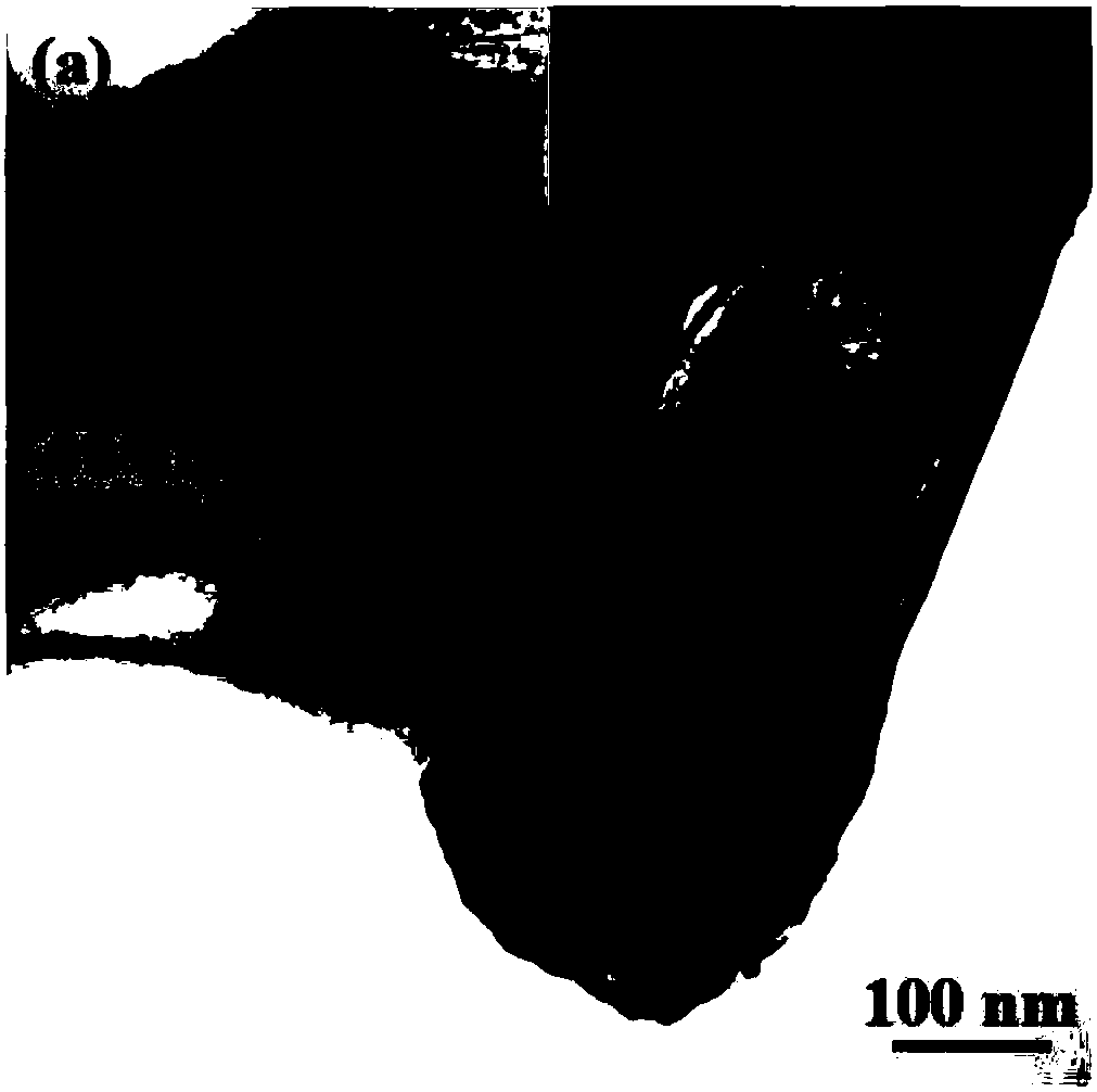 Preparation method of cobaltous sulfide nickel/graphene composite gel and application