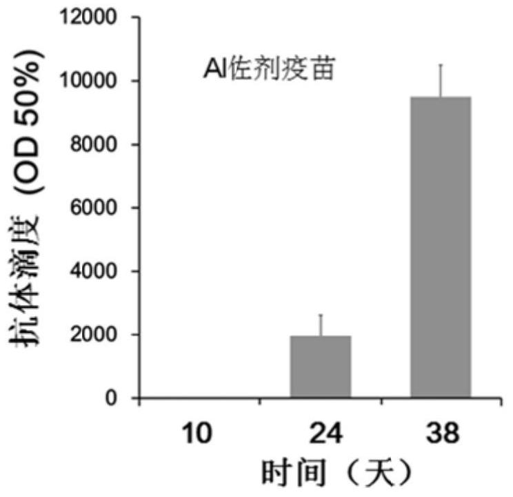 A kind of polypeptide and its application