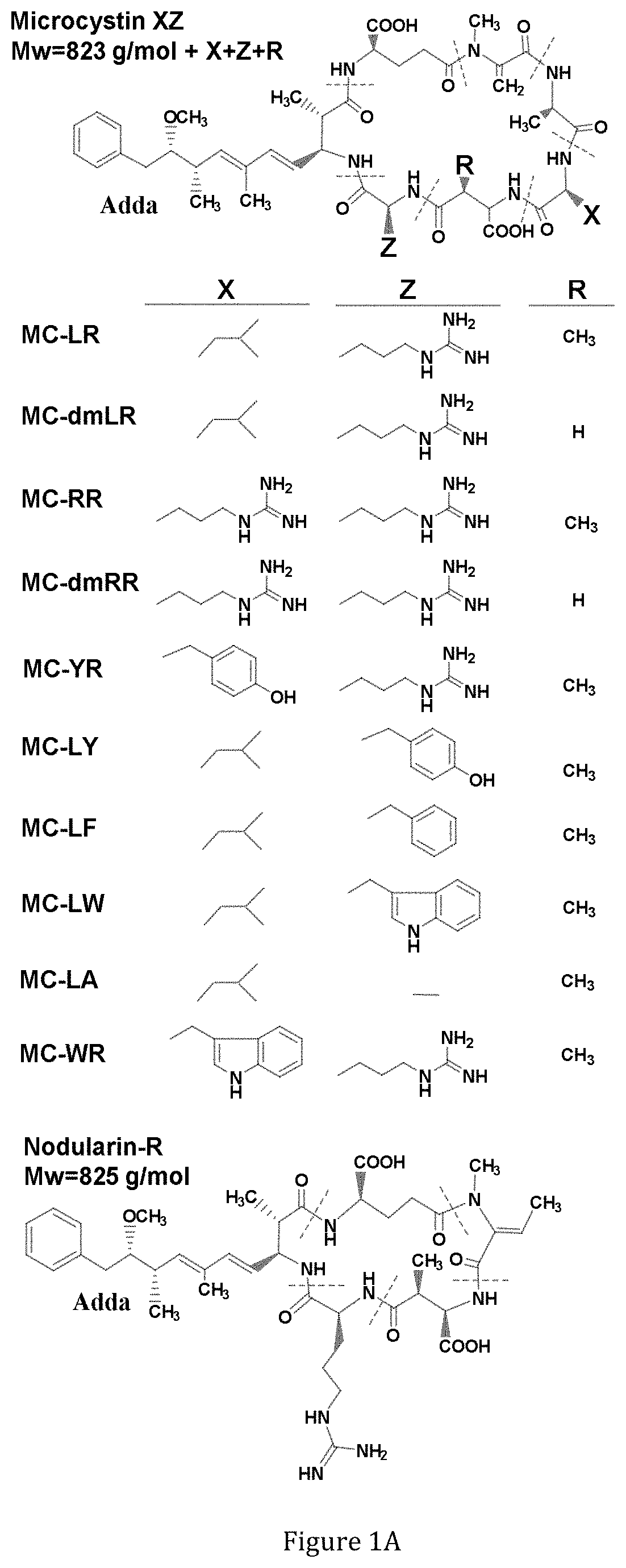 Antibodies against immunocomplexes comprising cyanobacterial cyclic peptide hepatotoxins