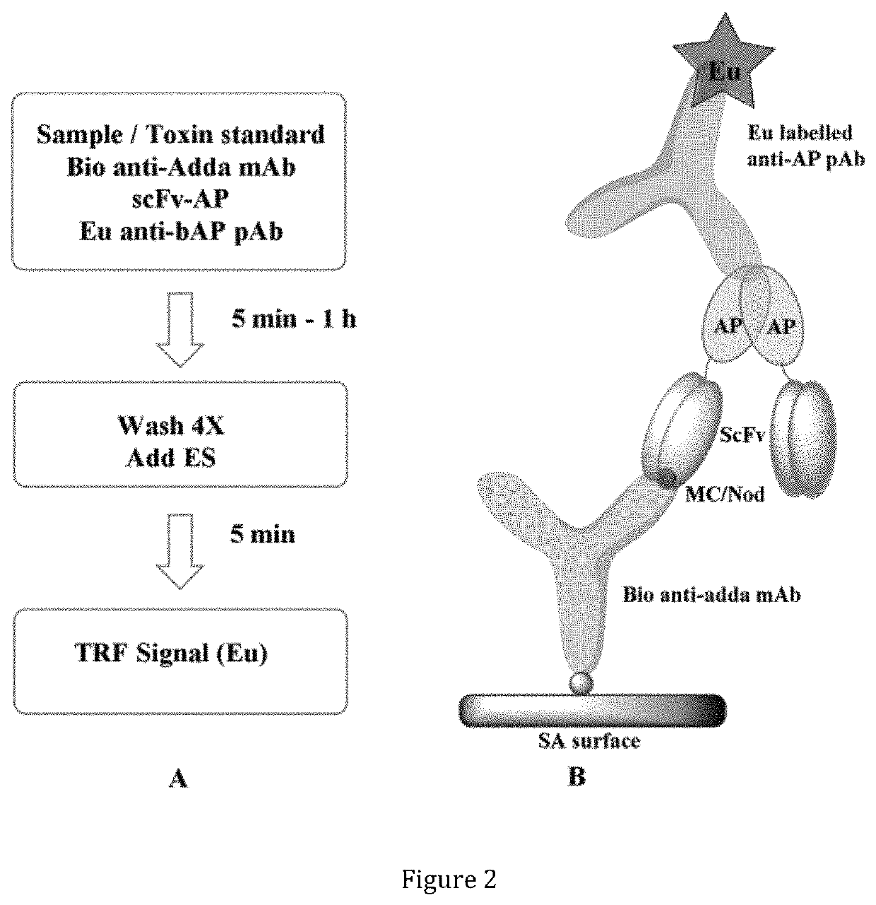 Antibodies against immunocomplexes comprising cyanobacterial cyclic peptide hepatotoxins