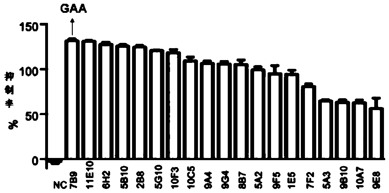 LRPPRC (leucine rich pentatricopeptide repeat containing) negative regulating agent and application thereof