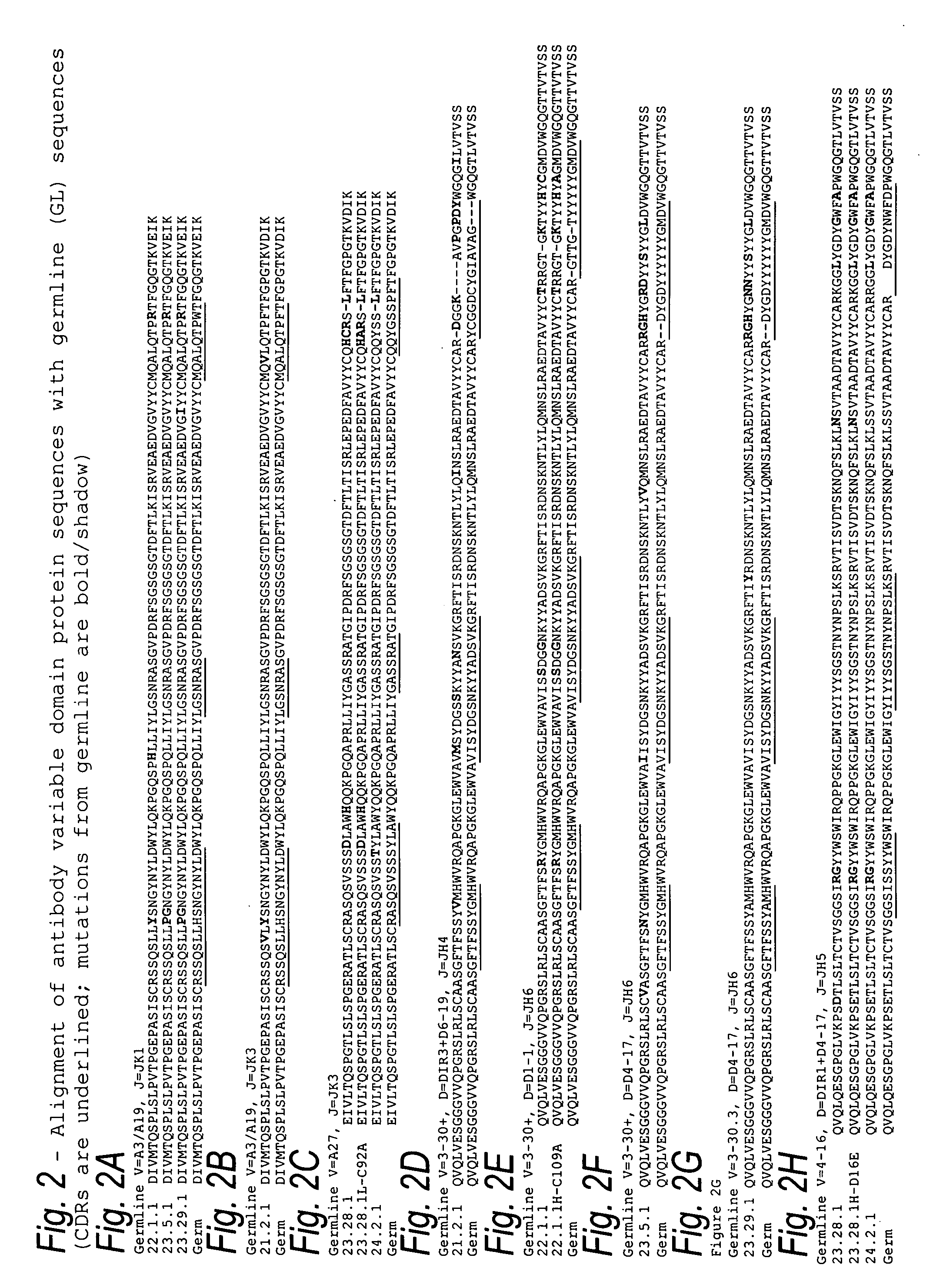 Antibodies to CD40