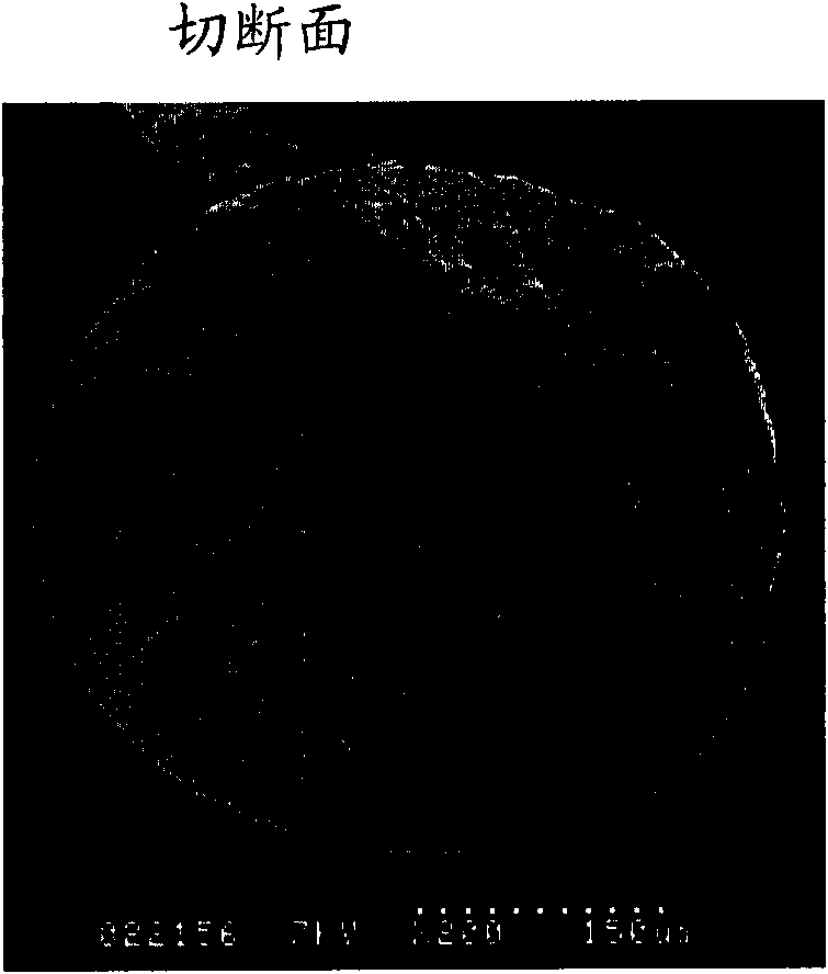 Porous former with high adsorption performance and manufacturing method thereof