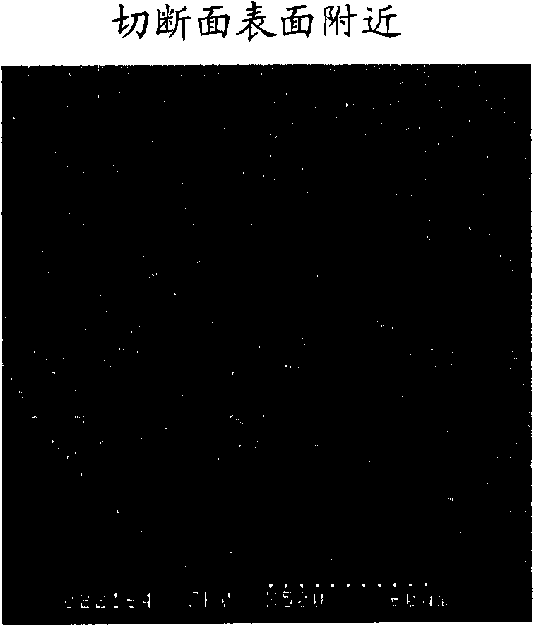 Porous former with high adsorption performance and manufacturing method thereof