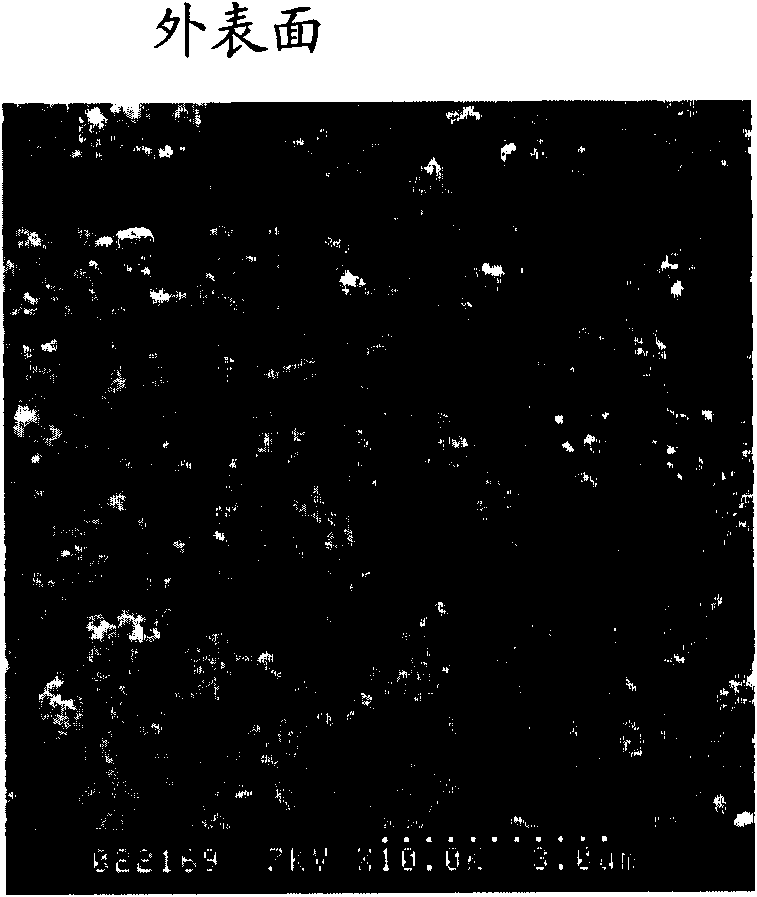 Porous former with high adsorption performance and manufacturing method thereof