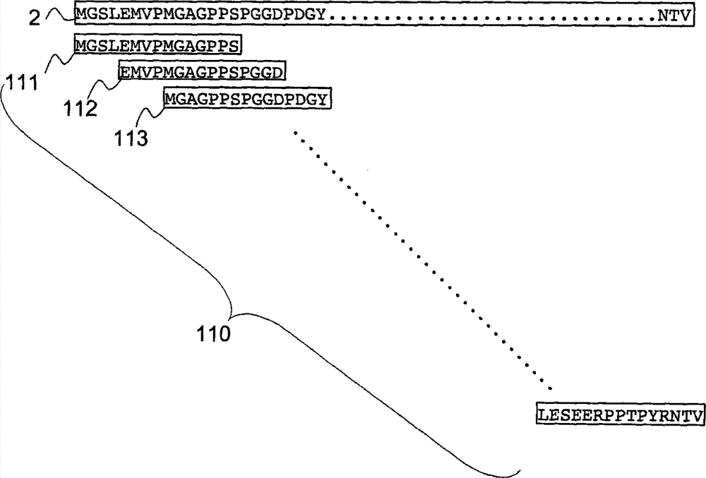 Method for producing immune cells and method for inducing immune effector cells