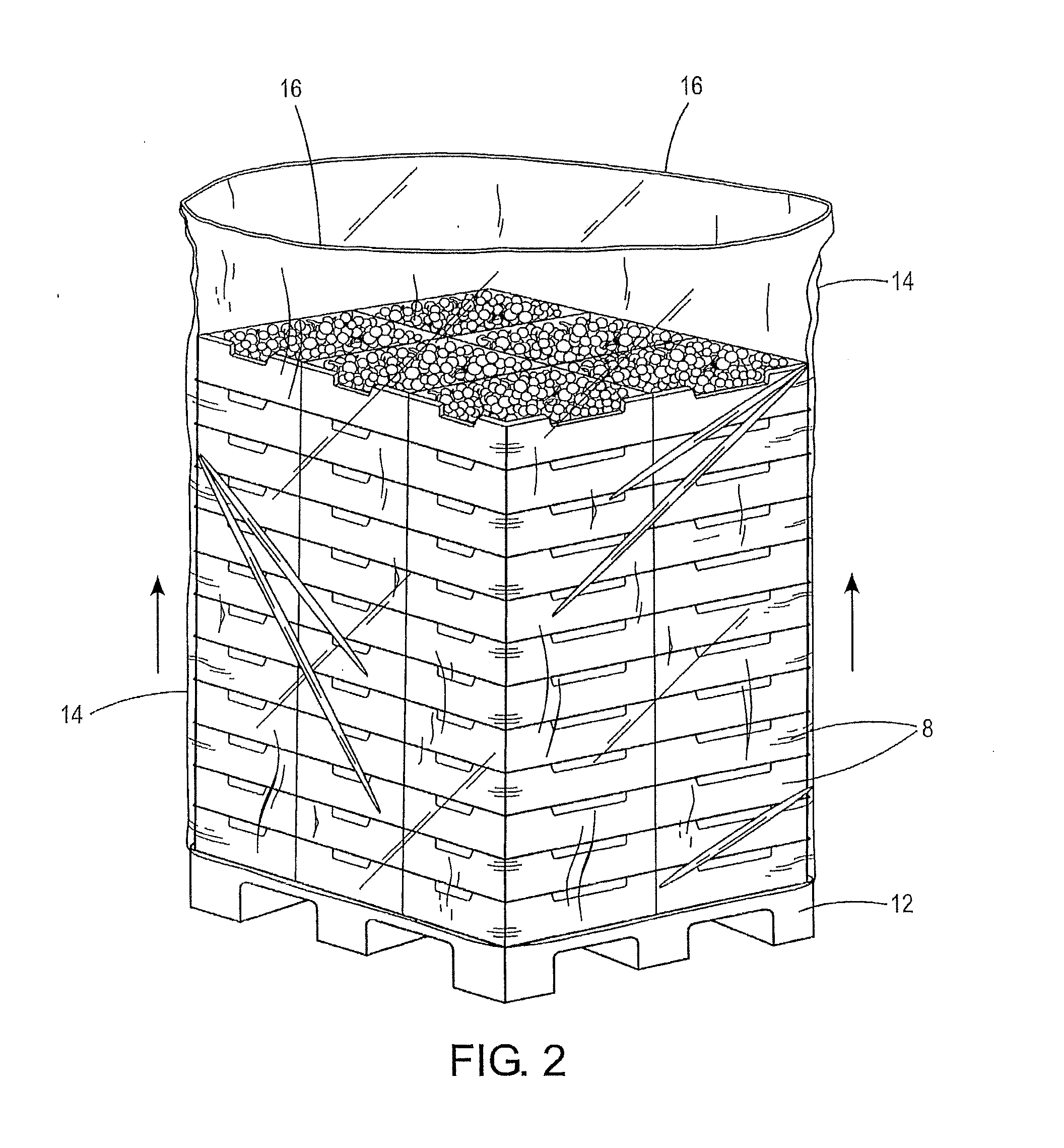 Process for the prolongation of the storage life of grapes