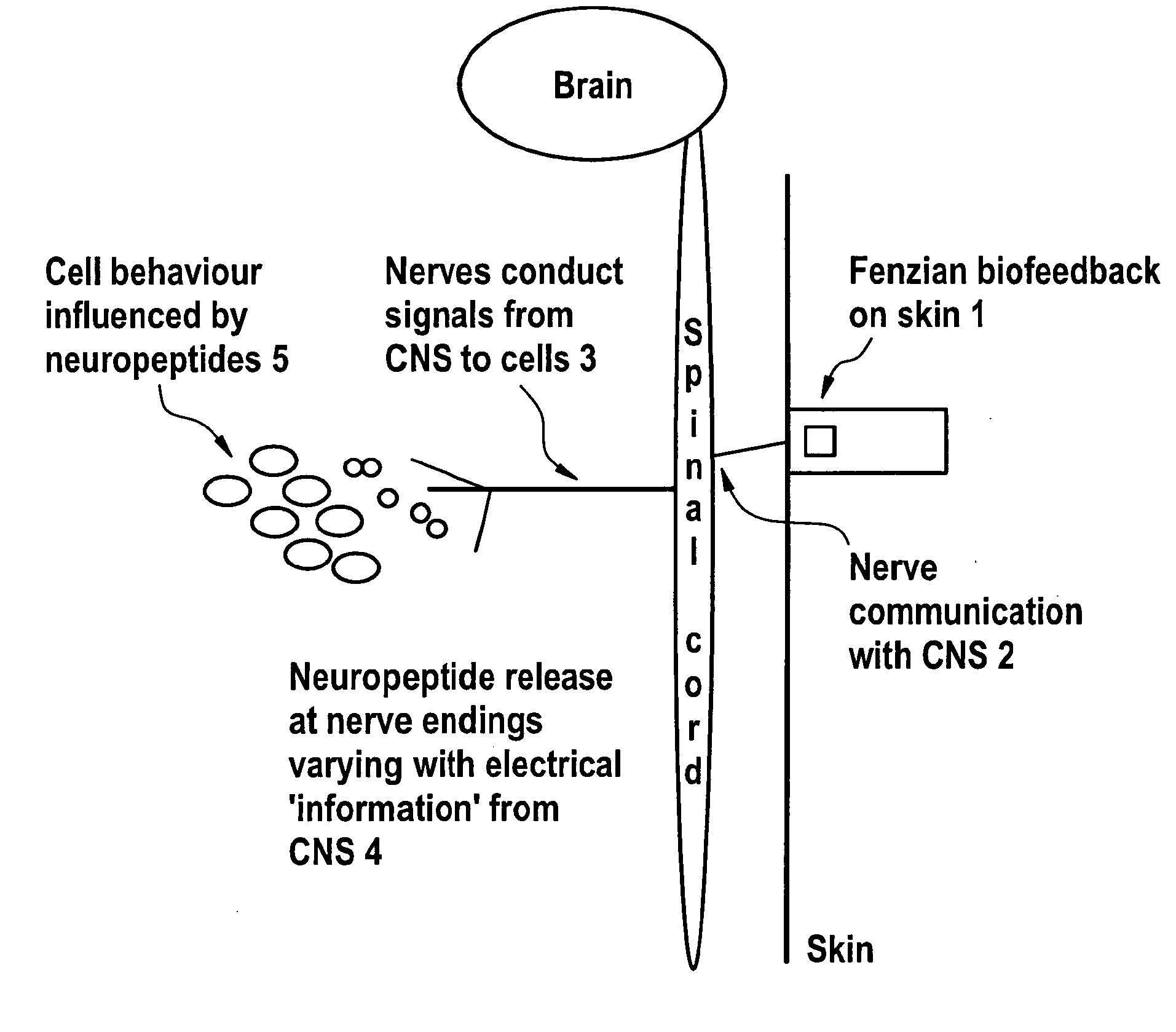 Plurality of Electrons for Use in the Restoration of a Patient's Health