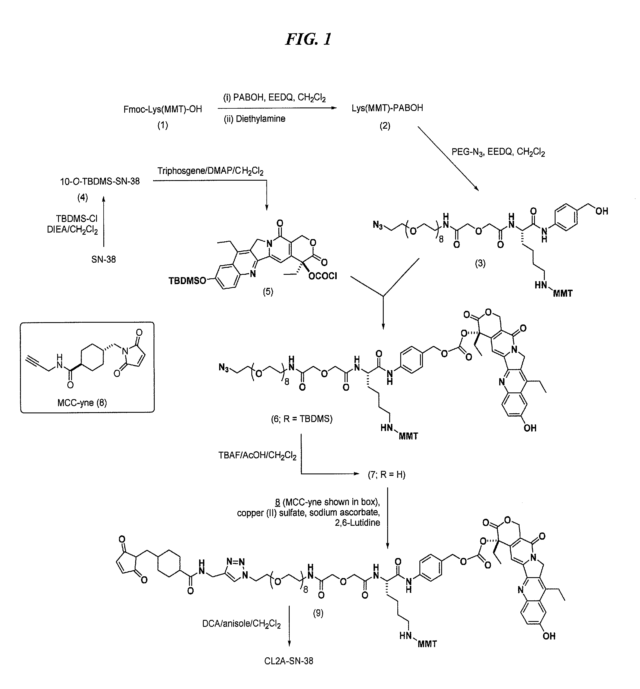 Antibody-sn-38 immunoconjugates with a cl2a linker