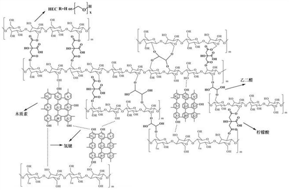 Traditional Chinese medicine compound external gel for treating bone diseases and preparation method thereof