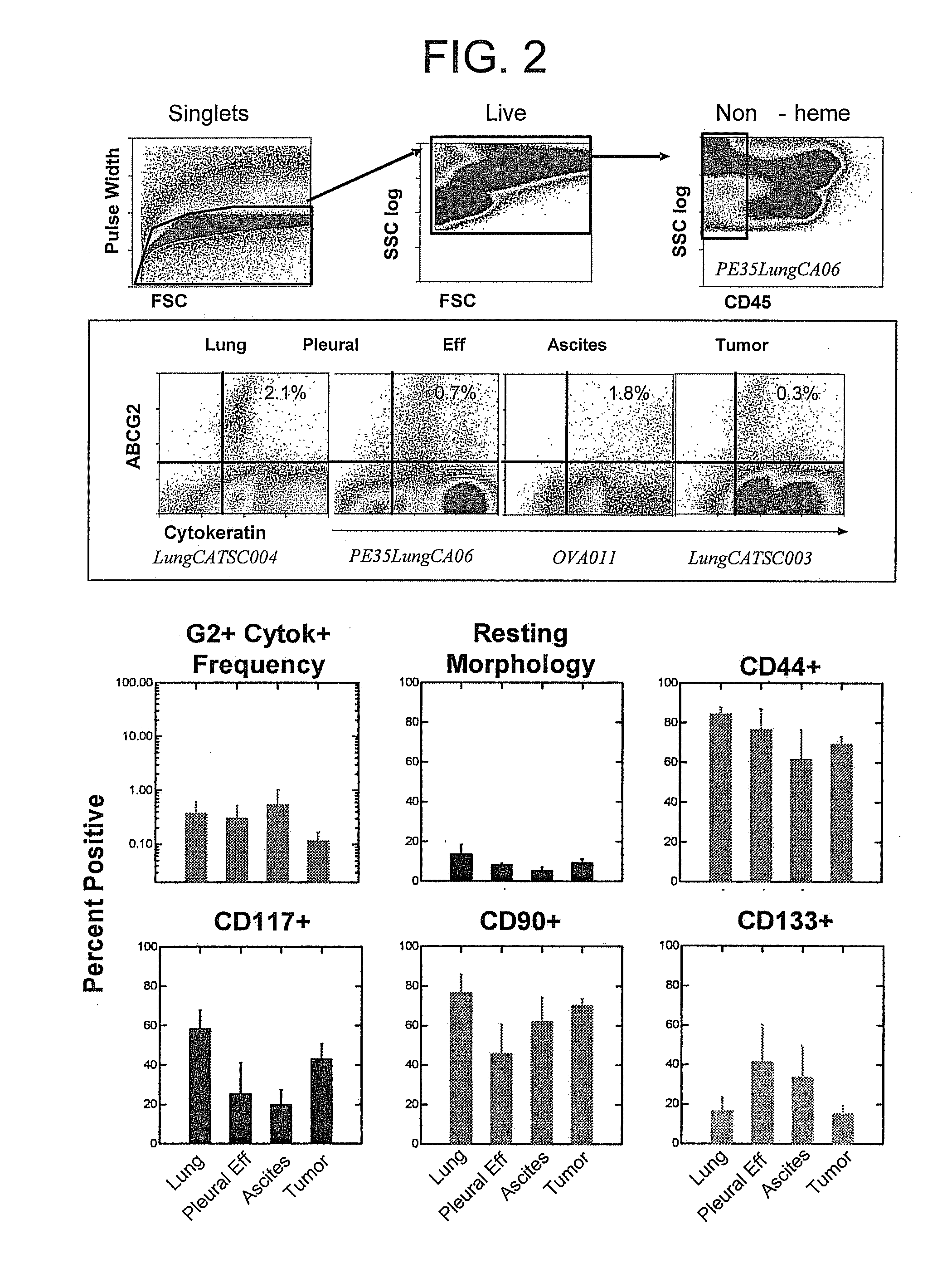 Identification of a constitutively resistant cancer stem cell