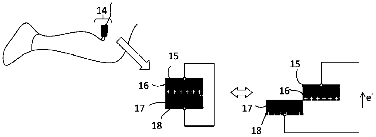 Human body motion energy harvesting-based heart rate measurement device and measurement method