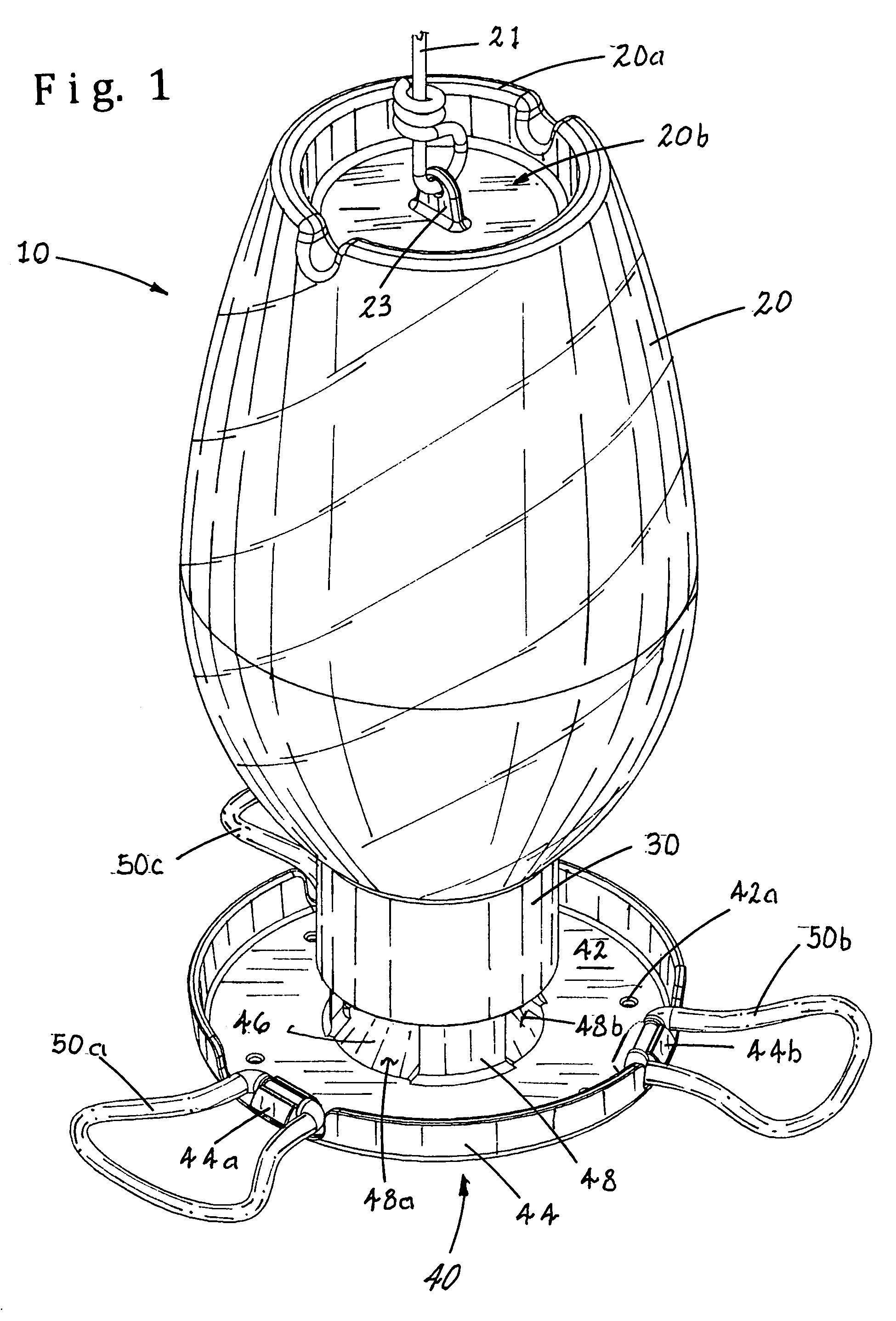 Disposable wild bird feeder